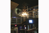 Antler Chandelier - 12 Light L Mule at Night